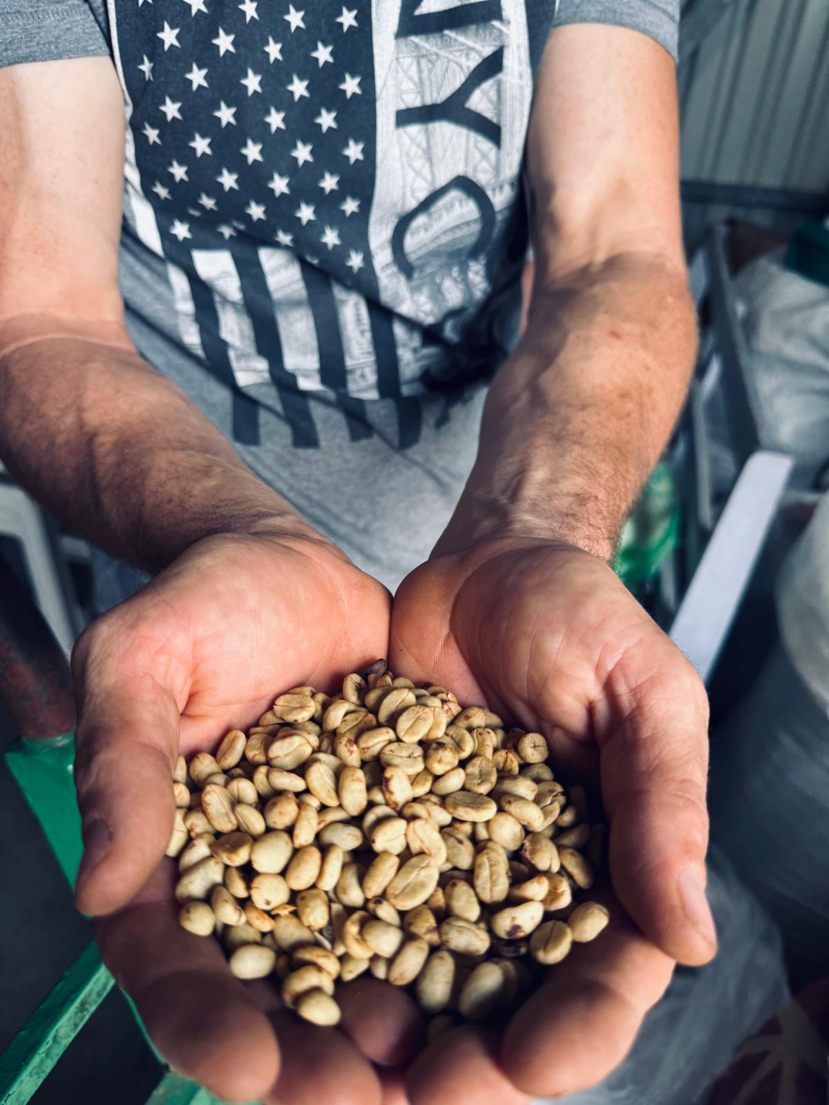 Seed to Sip: A Farm, Roastery & Tasting Tour